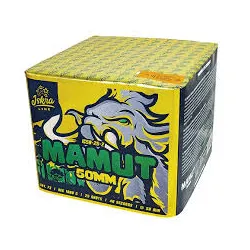 WYRZUTNIA MAMUT IC50-25-2 rok 2022